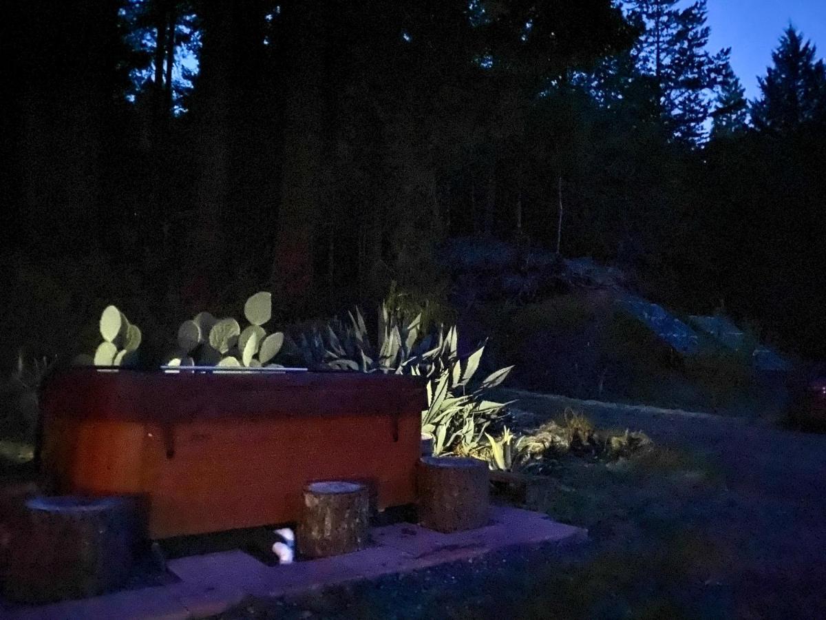 Glamping In The Redwoods With A Hot Tub! Hotel Garberville Exterior photo