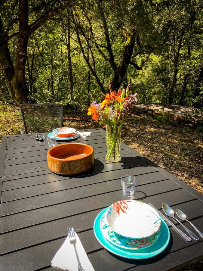 Glamping In The Redwoods With A Hot Tub! Hotel Garberville Exterior photo